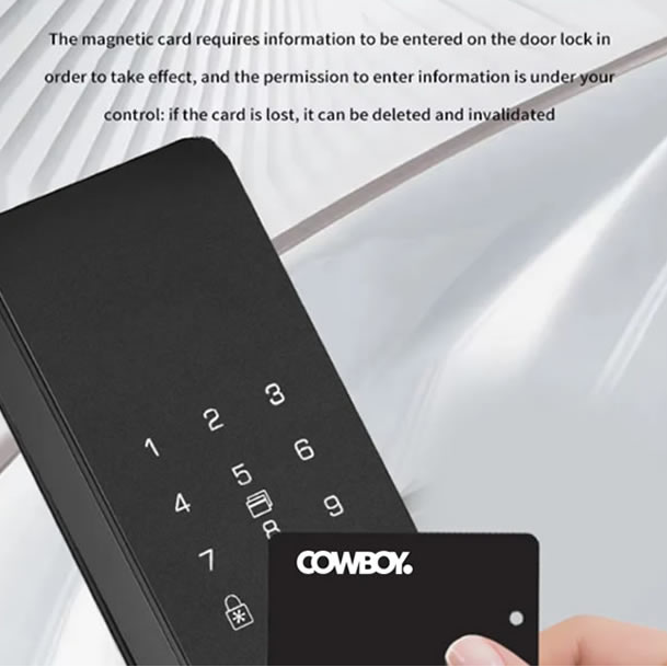 Magnictic card